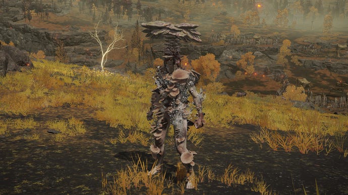The player in Elden Ring stands in front of the camera wearing the Mushroom armour set. Behind them is a view of the Altus Plateau.