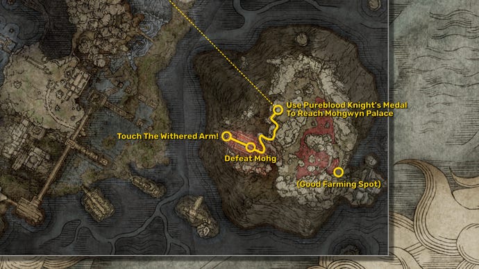 Part of the Elden Ring map, with the fastest path to reach the Shadow Of The Erdtree expansion starting point highlighted in yellow.